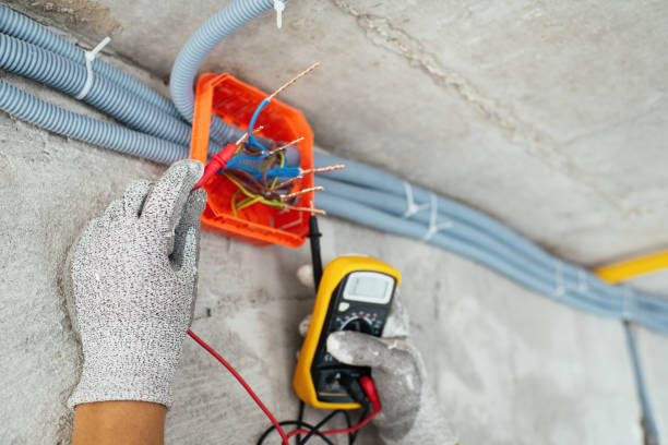 Best Home Electrical Repair  in Coon Rapids, IA